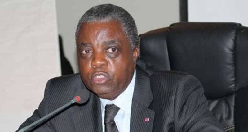 Cameroun - Situation de Maurice Kamto et Cie: Le Gouvernement répond aux experts des droits de l’homme de l’ONU.